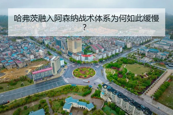 ha-fu-ci-rong-ru-a-sen-na-zhan-shu-ti-xi-wei-he-ru-ci-huan-man-2-735.jpg