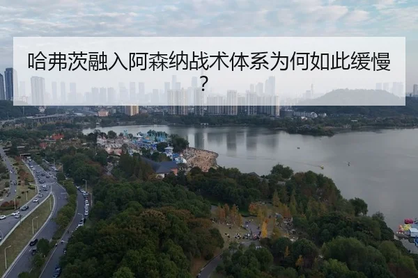 ha-fu-ci-rong-ru-a-sen-na-zhan-shu-ti-xi-wei-he-ru-ci-huan-man-3-539.jpg