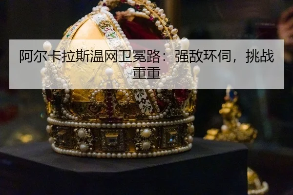 a-er-ka-la-si-wen-wang-wei-mian-lu-qiang-di-huan-si-tiao-zhan-chong-chong-3-181.jpg