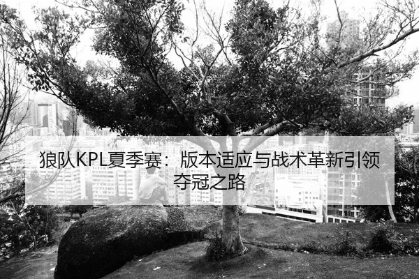lang-dui-xia-ji-sai-ban-ben-shi-ying-yu-zhan-shu-ge-xin-yin-ling-duo-guan-zhi-lu-2-749.jpg